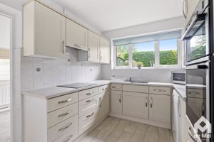 Photo 11- click for photo gallery